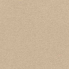 Radici Nexus Panna 8201 фото 1 | FLOORDEALER